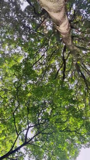 Slutboyben Cam4 Sexy Cruising Chick Iii Live Outdoor Exposure