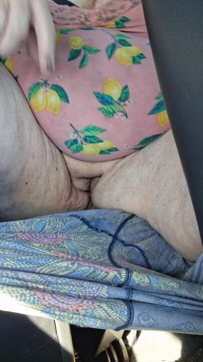 Rest Stop Squirting