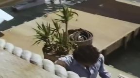 Women of San Francisco (1981)