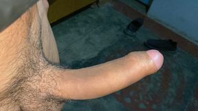 There is a different pleasure in bringing a car when there is no one at home.