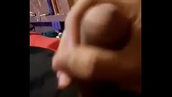 Tula morena