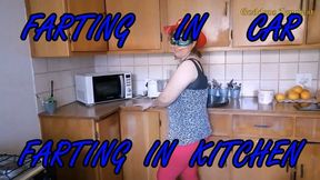 Extreme Fart Scenes 19 - Facefarts, Fart, Farting, Riding In Car, Face Sitting, Ass Worship, Female Domination, Ass Eating 720p