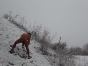 Gay Winter Story - best moments from new video - outfdoor public dildo play and hole stretching
