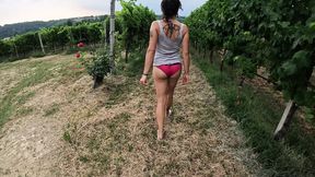 Sexy girl walks and undresses in the middle of the vineyard
