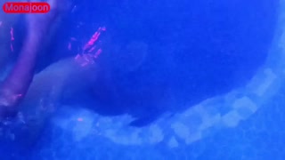 Iranian sex in pool