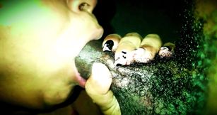 2 for 1 Lil Latina Covered Like Krispy Kream