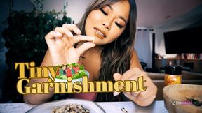 TINY GARNISHMENT feat AstroDomina (HD MP4)