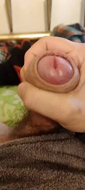 Una sega per i miei padroni di casa