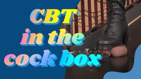Mistress Ayn tramples his cock in the CBT bondage box