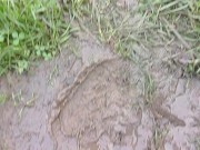 Cigarette Crush in Mud. Trampled and ground to nothing 👣👣