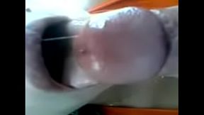 SORPRENDIDA