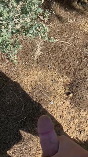 Cummig outdoor