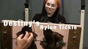 Destiny in the stocks! Nylons & Blindfolded oh my!