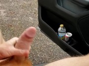 Dick out at the park while people drive by...