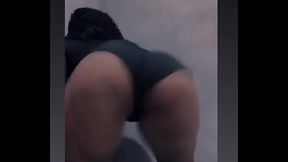 Dan&ccedil_arina