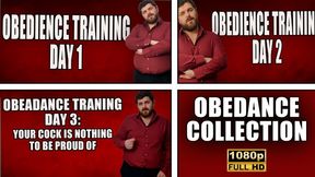 The Obediance Collection - Full HD 1080p - KingMarti