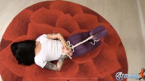 PURPLE BIRD BOUND - HD