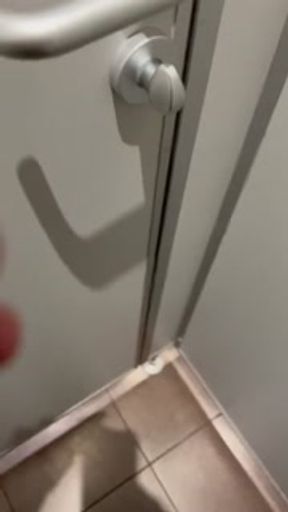 Public toilet pissing