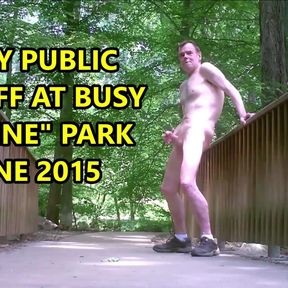 Risky Public Jackoff At Busy Canine Park June-2015