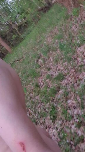 Naturist walk in the forest