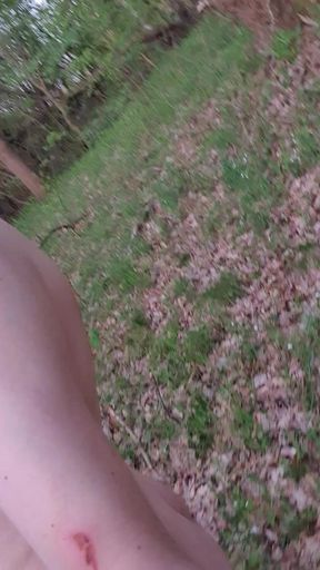 Naturist walk in the forest