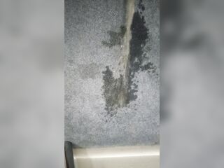 Sexually excited pee on the carpet