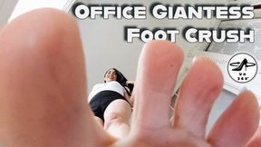 Office Giantess Foot Crush -Assistant Stella Liberty Dominates Her Foot-Perv Boss with Her Soles and Crushes and Squeezes Him in Her Toes - VR MP4