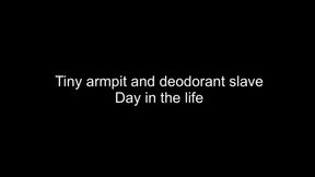 Macrophilia - giant armpit slave trapped in deodorant roll on