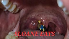 Sloane Eats The Scavengers (TINY PERSON SWALLOWING)