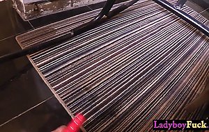 Big tits ladyboy girlfriend barebacked by client and enjoyed rough anal sex