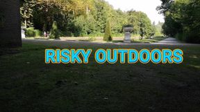 Risky Outdoors play in the parc