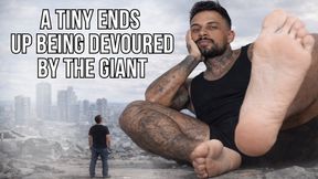 A tiny ends up being devoured by the giant - Lalo Cortez