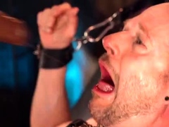 Sudiofreaky - Mistress Stellina Obscura - I love stuffing