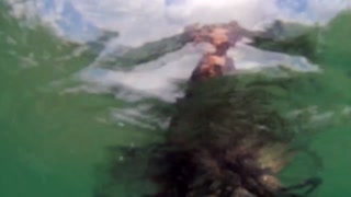 Heavily tattooed dreadlocks Anuskatzz holiday ocean tease with Lily Lu