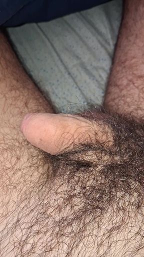 Hairy cock from soft to hard