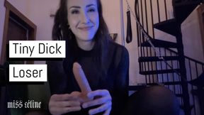 Tiny Dick Loser | FemDom POV SPH