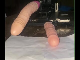 Nudist’s life home