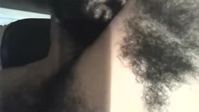 HOT BEAR LICKING HIS SMELLY ARMPITS
