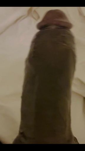 Nothing Stops Me From Wanking to Porn Daily