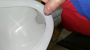 VID 20170919 la primera meada del dia