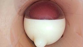 Amateur BBBW gobbles huge cock and swallows cum