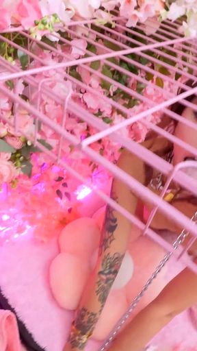 Pink Room Ep. 38: Cock Crazy Angel Windell Gets Creampied