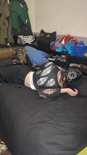 trying head harnes hogtie
