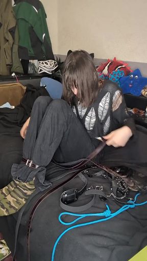 trying head harnes hogtie