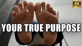 Feet, Your True Purpose - 4k UHD 2160p - KingMarti