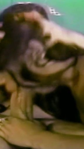 Skinny Latina Tranny Fucked Anally in the Basement by Neighbor