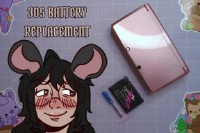3DS Battery Replacement