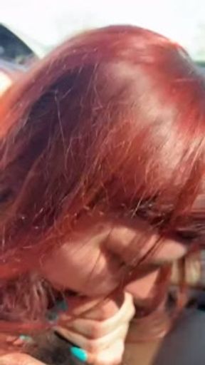 Pulled his cock out in the car