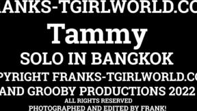 ”FRANK'S TGIRL WORLD: Tammy Gets Horny”