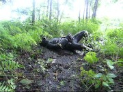 frogman quickly jerks off in shallow mud